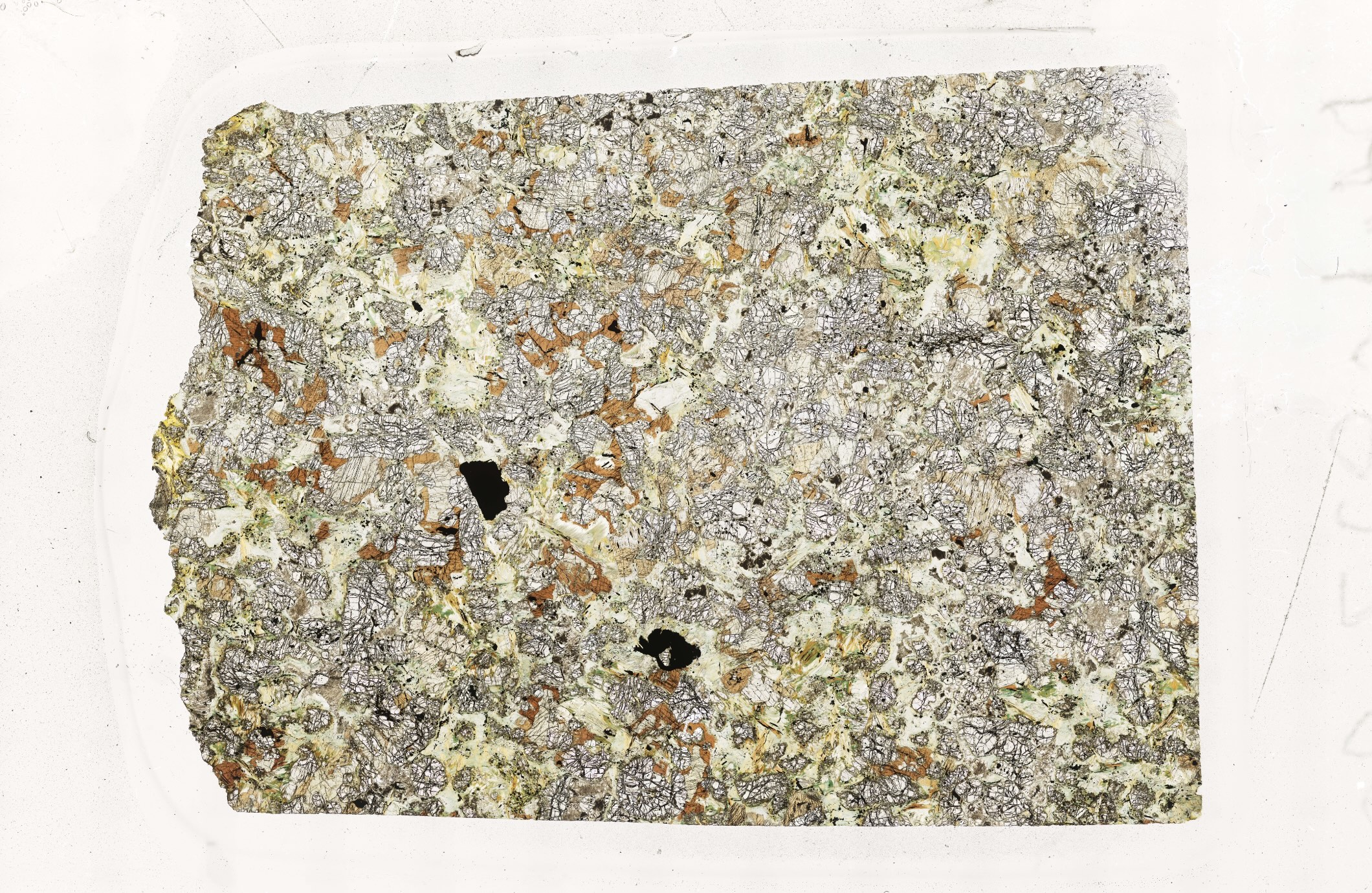 Thin section RW23-20 preview.