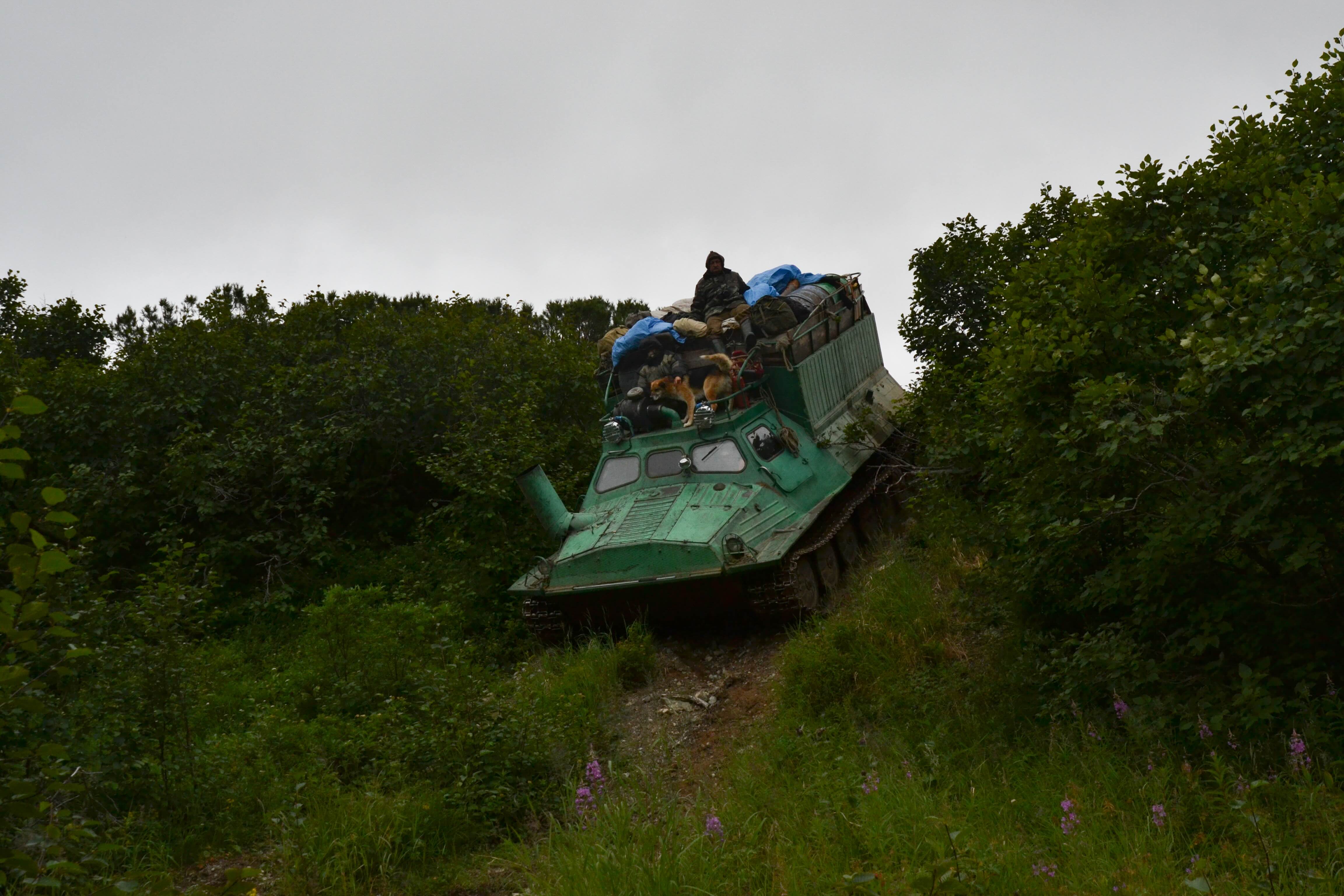 Dog and people on top of an all-terrain vehicle.