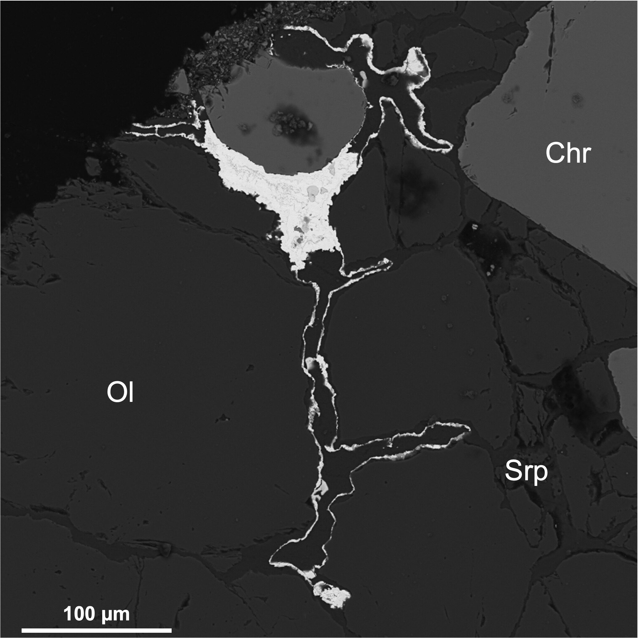 Pt 39 figure for platinum-group minerals.